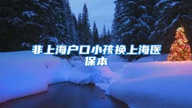 非上海户口小孩换上海医保本