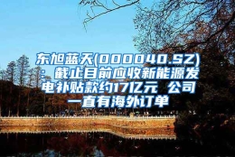 东旭蓝天(000040.SZ)：截止目前应收新能源发电补贴款约17亿元 公司一直有海外订单