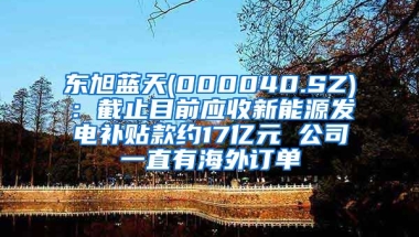 东旭蓝天(000040.SZ)：截止目前应收新能源发电补贴款约17亿元 公司一直有海外订单