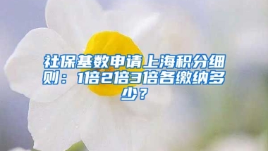 社保基数申请上海积分细则：1倍2倍3倍各缴纳多少？