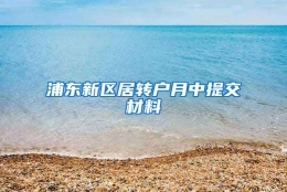 浦东新区居转户月中提交材料