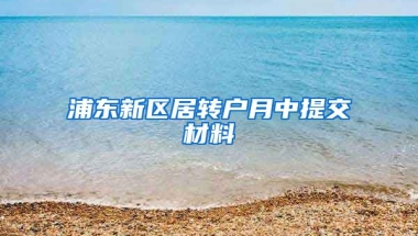 浦东新区居转户月中提交材料