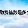 2022上海社保缴费基数是多少 社保基数缴纳标准一览