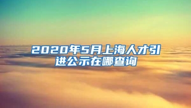 2020年5月上海人才引进公示在哪查询