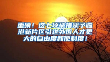 重磅！这七项举措赋予临港新片区引进外国人才更大的自由度和便利度！