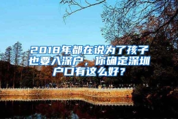 2018年都在说为了孩子也要入深户，你确定深圳户口有这么好？