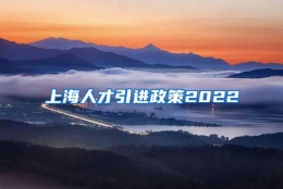 上海人才引进政策2022