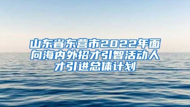 山东省东营市2022年面向海内外招才引智活动人才引进总体计划