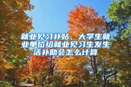 就业见习补贴，大学生就业单位给就业见习生发生活补助会怎么计算