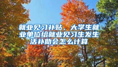 就业见习补贴，大学生就业单位给就业见习生发生活补助会怎么计算