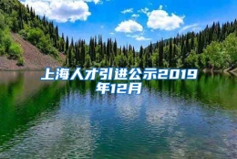 上海人才引进公示2019年12月