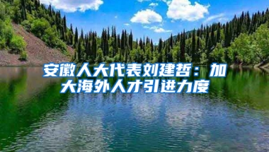 安徽人大代表刘建哲：加大海外人才引进力度