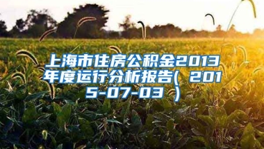 上海市住房公积金2013年度运行分析报告( 2015-07-03 )