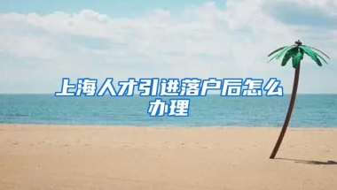 上海人才引进落户后怎么办理