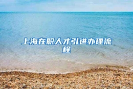 上海在职人才引进办理流程