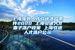 上海海外人才引进落户条件2020 上海引进人才妻子落户政策 上海引进人才落户公示