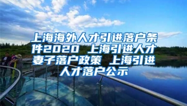 上海海外人才引进落户条件2020 上海引进人才妻子落户政策 上海引进人才落户公示