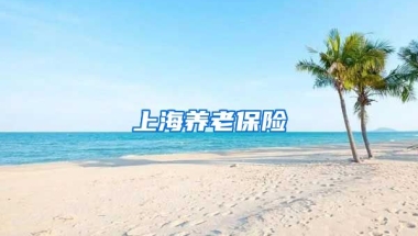 上海养老保险