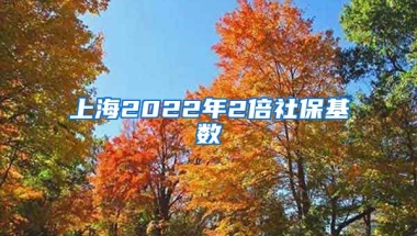 上海2022年2倍社保基数