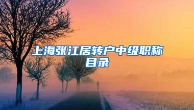 上海张江居转户中级职称目录