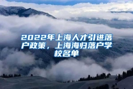 2022年上海人才引进落户政策，上海海归落户学校名单