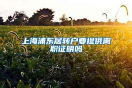 上海浦东居转户要提供离职证明吗