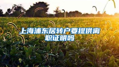 上海浦东居转户要提供离职证明吗