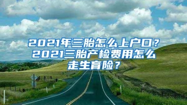 2021年三胎怎么上户口？2021三胎产检费用怎么走生育险？