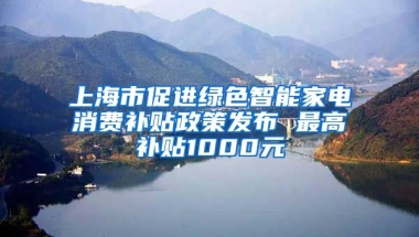 上海市促进绿色智能家电消费补贴政策发布 最高补贴1000元