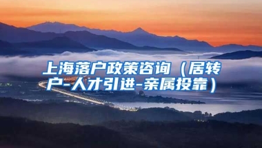 上海落户政策咨询（居转户-人才引进-亲属投靠）