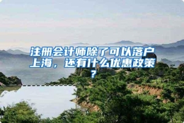 注册会计师除了可以落户上海，还有什么优惠政策？