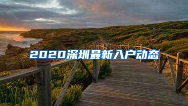 2020深圳最新入户动态