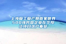 上海复工复产期首家世界500强跨国企业在华投资项目落户奉贤