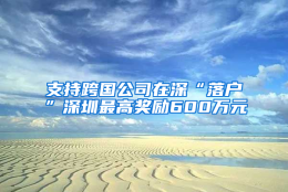 支持跨国公司在深“落户”深圳最高奖励600万元