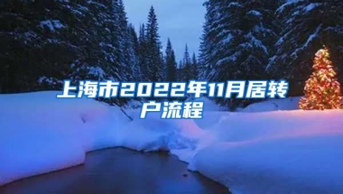 上海市2022年11月居转户流程