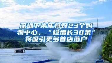 深圳下半年将开23个购物中心，“稳增长30条”将吸引更多首店落户