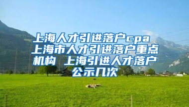 上海人才引进落户cpa 上海市人才引进落户重点机构 上海引进人才落户公示几次