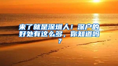 来了就是深圳人！深户的好处有这么多，你知道吗？