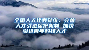 全国人大代表孙维：完善人才引进保护机制 加快引进青年科技人才