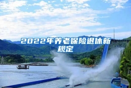 2022年养老保险退休新规定