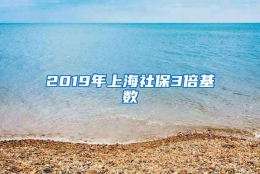 2019年上海社保3倍基数