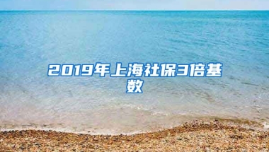 2019年上海社保3倍基数