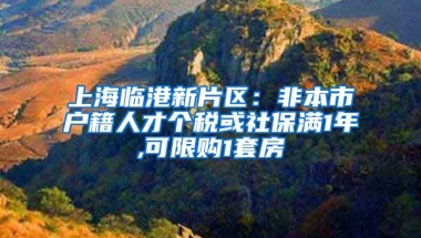 上海临港新片区：非本市户籍人才个税或社保满1年,可限购1套房