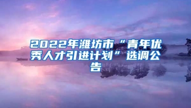 2022年潍坊市“青年优秀人才引进计划”选调公告