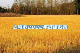 上海市2022年低保政策