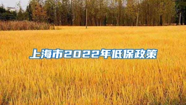 上海市2022年低保政策