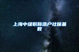 上海中级职称落户社保基数