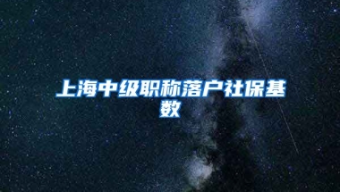 上海中级职称落户社保基数