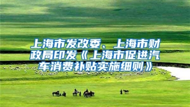 上海市发改委、上海市财政局印发《上海市促进汽车消费补贴实施细则》