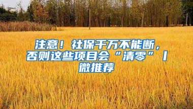 注意！社保千万不能断，否则这些项目会“清零”丨微推荐